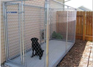 galvanized dog kennel on concrete slab