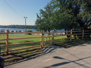 Cedar Fence